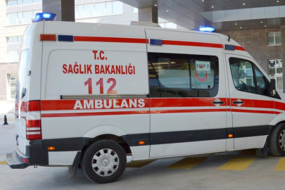 Torununu kurtaran kadın otomobilin çarpmasıyla öldü