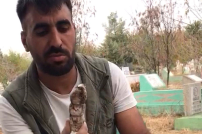 Diyarbakır'da mezarlıktan kefenlenmiş oyuncak bebek çıktı