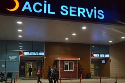 Bursa'da karı koca mantardan zehirlendi