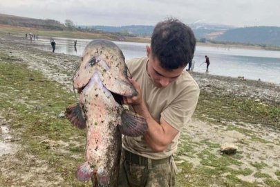 Bursa'da kuruyan gölde yayın avı!