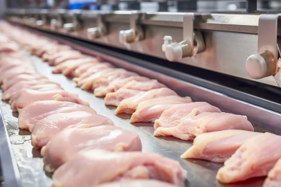 Skandal gün yüzüne çıktı: Birçok kuruma dağıtılan tavuk etlerinde metal bulundu