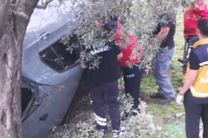 Balıkesir'de kontrolü kaybetti zeytin bahçesine uçtu: 2 yaralı