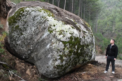 Mantar toplamaya gitmişti, depremin bıraktığı hasarı gördü