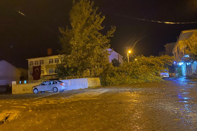 Bitlis'te rüzgarın kökünden söktüğü ağaç otomobilin üzerine devrildi