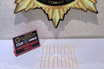 Tokat'ta uyuşturucu operasyonu, 500 içimlik bonzai ele geçirildi