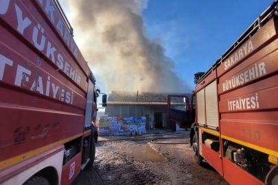 Sakarya'da ahşap atölyesinde korkutan yangın