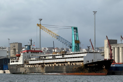 "Spiridon-II" krizi: İthal hayvanlar günlerdir limanda mahsur