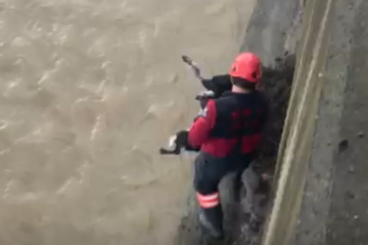 Trabzon'da derede mahsur kalan köpeği itfaiye ekibi kurtardı