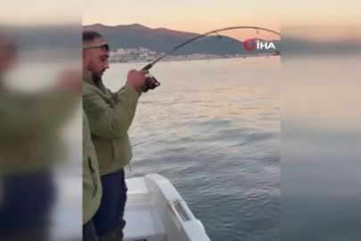 Bursa Gemlik'te balıkçıların oltasına dev köpek balığı takıldı