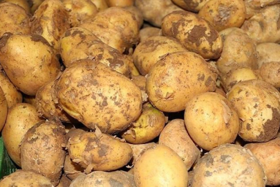 Ticaret Bakanlığından patates fiyatı açıklaması