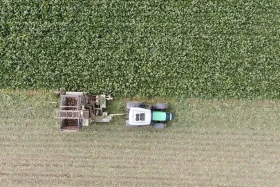 Kastamonu'da pancar hasadı! Çiftçi korkutan ihtimali ibretlik bir sözle özetledi