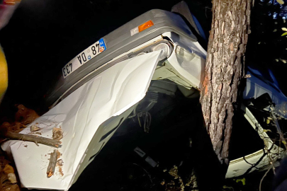 Muğla'da uçuruma yuvarlanan araçtaki vatandaşı AFAD ekipleri çıkardı