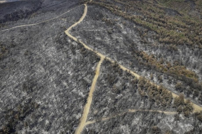 617 hektar orman küle dönmüştü! Kahreden şüphe...