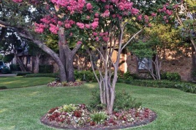 Bursa Hakimiyet gündeme getirmişti: Atatürk Anıtı ve oya çiçekleriyle ilgili Büyükşehir’den açıklama...