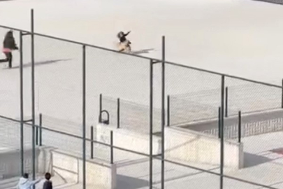 Çorum'da okul bahçesine giren köpek çocuklara büyük panik yaşattı