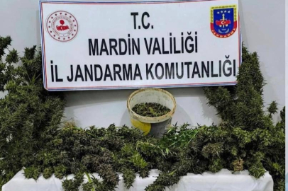 Mardin'de uyuşturucu operasyonunda 3 tutuklama
