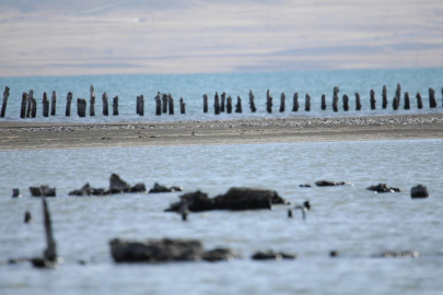 Van Gölü'nün çekilmesiyle asırlık iskelenin ayakları ortaya çıktı