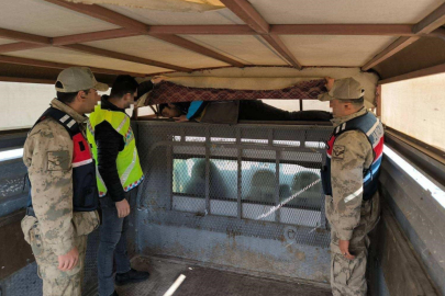 Erzurum'da bir ay içinde 28 düzensiz göçmen yakalandı