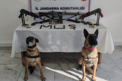 Muş'ta ruhsatsız 3 uzun namlulu silah ele geçirildi