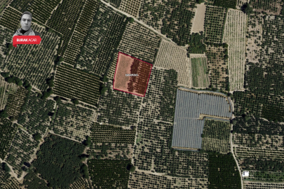 Bursa'da dev bahçenin mirasçıları her yerde aranıyor! Bulunamazsa...