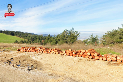 Çevre Bakanlığı Bursa'da ormanın ortasındaki araziyi satışa çıkarıyor!