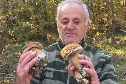 Kuraklık vurdu, fiyatı 500 TL'yi buldu! 'Geçen senenin yüzde 1'i bile yok'