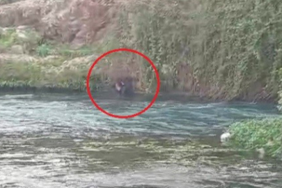 Antalya'da Düden Çayı'na düşen şahsı itfaiye ekipleri kurtardı