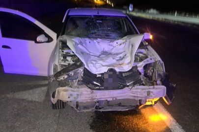 Siirt’te otomobilin çarptığı at telef oldu