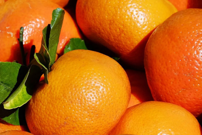 İstanbullular en çok mandalina ve domates tüketti