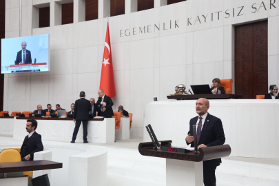 Saadet Partisi Bursa Milletvekili Mehmet Atmaca, Nilüfer Çayı’nın tehlikesini Meclis gündemine taşıdı