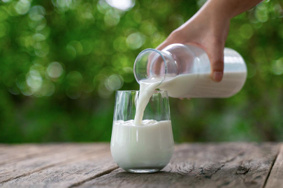 Ulusal Süt Zirvesi 20 Kasım'da Antalya'da yapılacak