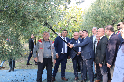 Bursa'da hasat başladı! 70 bin tonluk alım ve 50 milyon dolarlık ihracat hedefi...