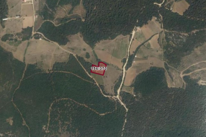 Bursa'da ormanın ortasına kurulmak istenen beton santrali hakkında yeni gelişme!