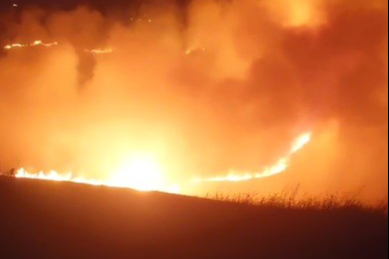 Ermenistan sınırında örtü yangını