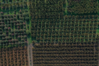Bursa için korkutan 'çöküntü' uyarısı! 'Yerel ve sığ birtakım...'