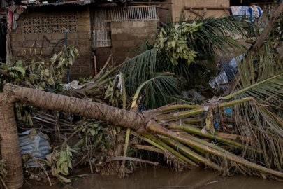 Filipinler'de Kalmaegi Tayfunu'nda hayatını kaybedenlerin sayısı 224'e çıktı