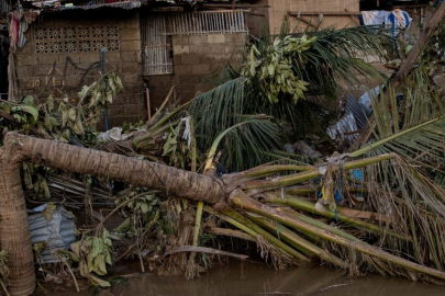 Filipinler'de Kalmaegi Tayfunu'nda hayatını kaybedenlerin sayısı 224'e çıktı