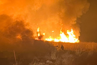 Hakkari'de kuş cennetinde yangın