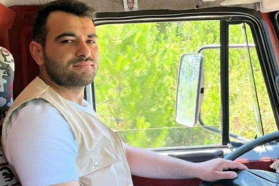 Kastamonu’da üzerine ağaç devrilen şahıs yaralandı