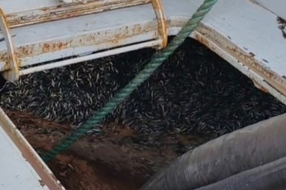 Trabzon Araklı Limanı'nda hafta sonu hamsi yoğunluğu