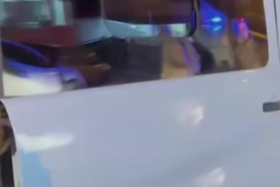 Vanda'da 20 yıl hapis cezasıyla aranan şahıs çobanlık yaparken yakalandı