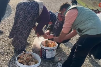 Bursa'da okul harçlığını "kanlıca"dan çıkarıyor