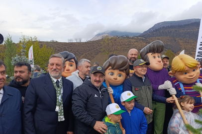 Bursa’da yanan ormanlar yeniden yeşeriyor