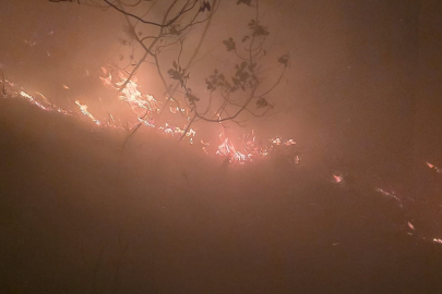 Hatay’da yıldırımın düştüğü ormanlık alanda yangın çıktı