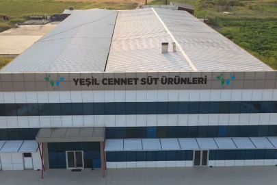 İstanbullu şirketin Bursa'daki gıda oyunu ifşa oldu! Peynirin içine...