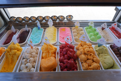 Alpedo hakkındaki "ölümcül bakteri" iddiası asılsız çıktı