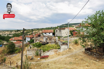 Bursa'nın dağ yöresinde dev satış! Ormanın yanındaki arsalar parsel parsel...