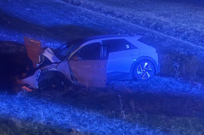 Muş'ta otomobil yola çıkan ineğe çarptı