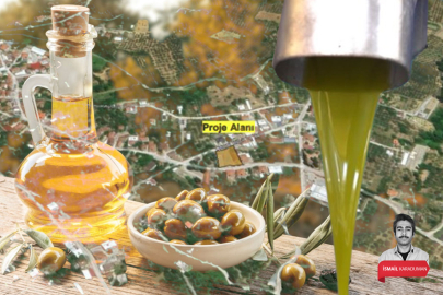 Bakanlıktan onay çıktı: Bursa'da belediye zeytinyağı fabrikasını açacak!