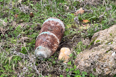 Edirne'de mantar toplarken top mermisi buldular